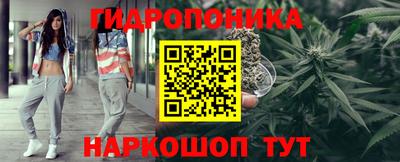 ГАЛЛЮЦИНОГЕННЫЕ ГРИБЫ Тверь